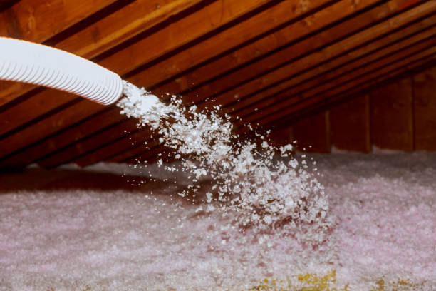 Best Eco-Friendly Insulation in West Perrine, FL