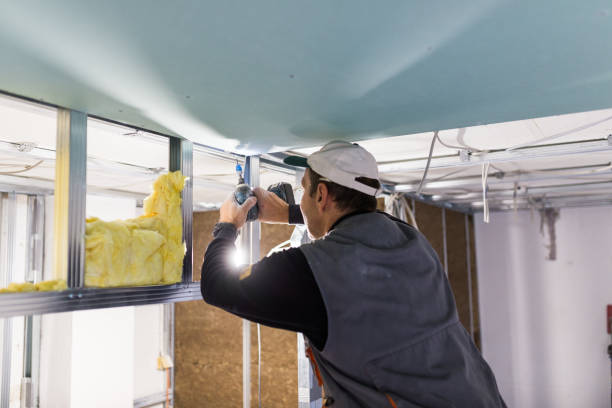 Best Eco-Friendly Insulation in West Perrine, FL