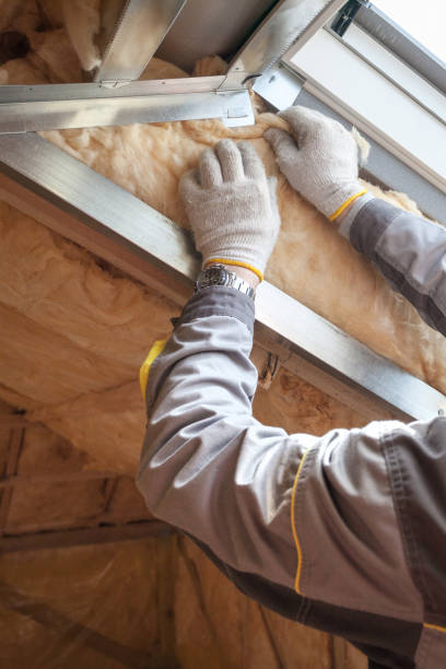 Best Fiberglass Insulation in West Perrine, FL